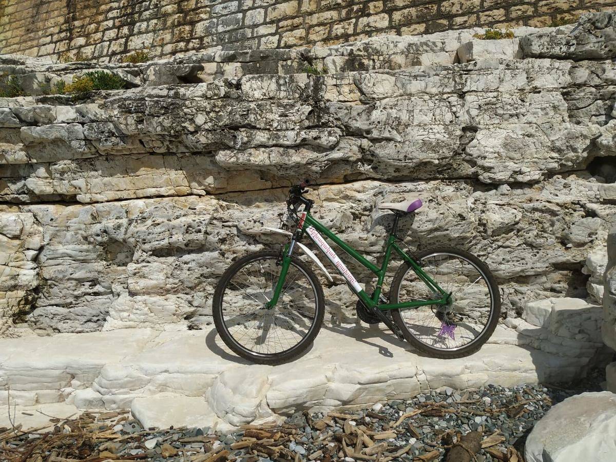 Фото Гостевого дома Гостевой дом Мария Цандрыпш 15